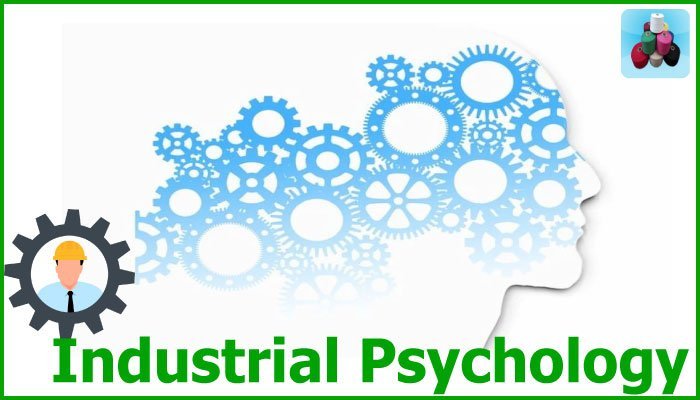 What Is Industrial Psychology Importance Of Industrial Psychology 