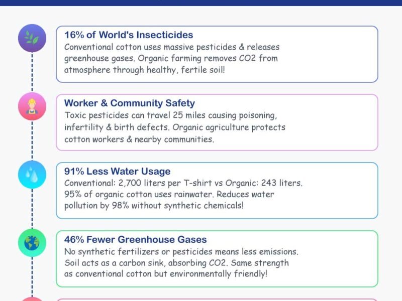Cotton Vs Organic Cotton: Find the Key Differences