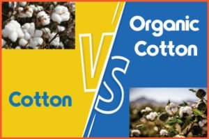 Cotton Vs Organic Cotton: Find The Key Differences - Textile Apex