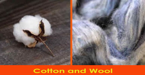 Textile Fibre (Cotton, Wool)