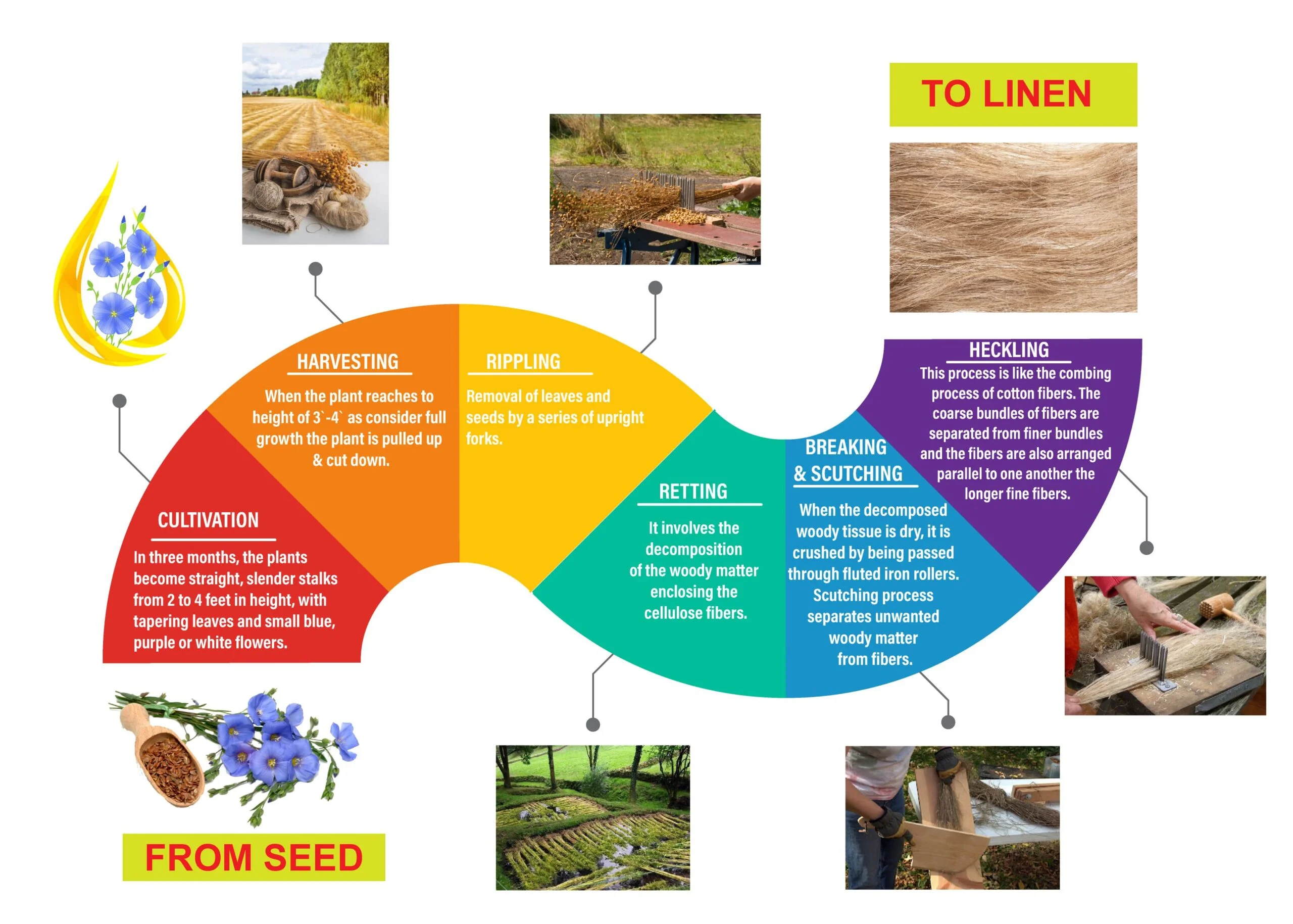 Production Flowchart of Linen or Flax Fibre Textile Apex