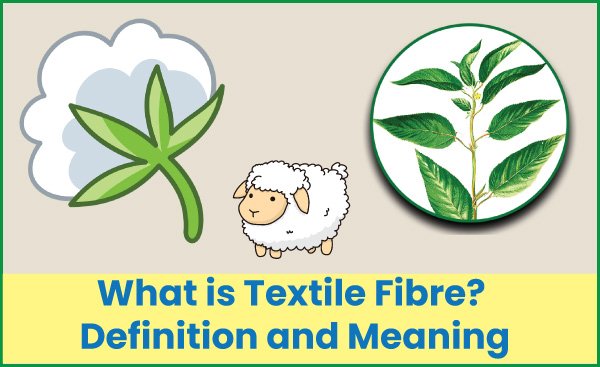 What is Textile Fibre: Definition and Meaning