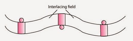 Double interlacing field
