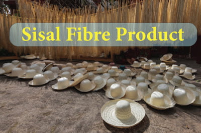 Hats made from sisal fibre.