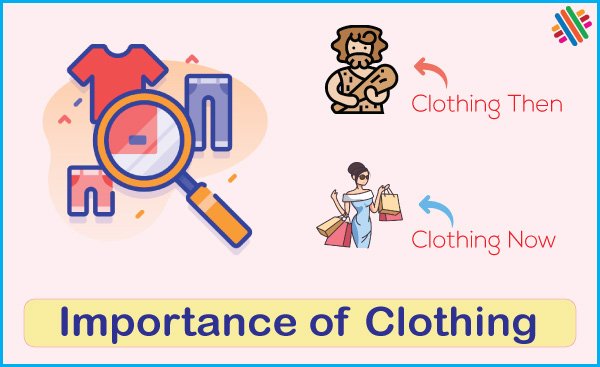 Purpose and Importance of Clothing