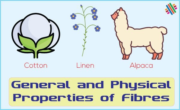 Cotton Fibers - Uses & Properties - AanyaLinen