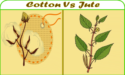 Cotton Vs Jute: Find the Key differences