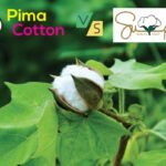 Pima vs Supima Cotton: A Comparative Analysis