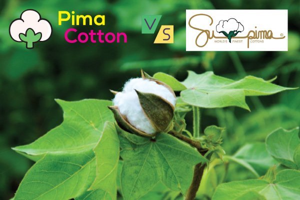 Pima vs Supima Cotton: A Comparative Analysis